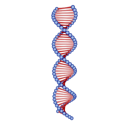 Serendexia